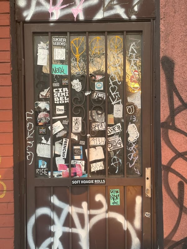 Door in Brooklyn — photograph 12 of 32