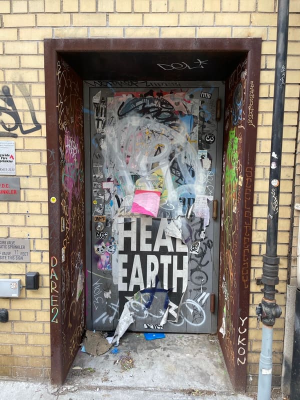 Door in Brooklyn — photograph 17 of 32