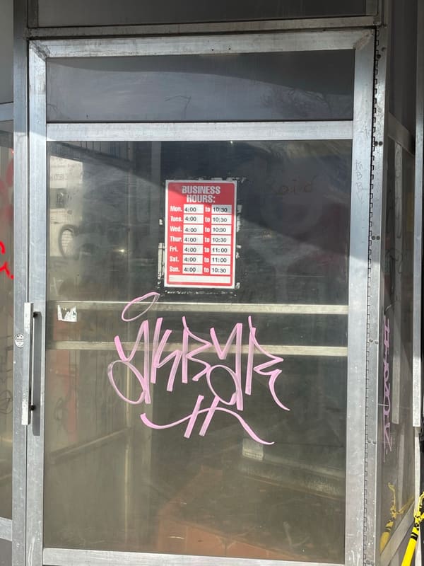 Door in Brooklyn — photograph 25 of 32