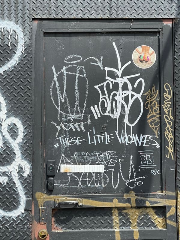 Door in Brooklyn — photograph 26 of 32