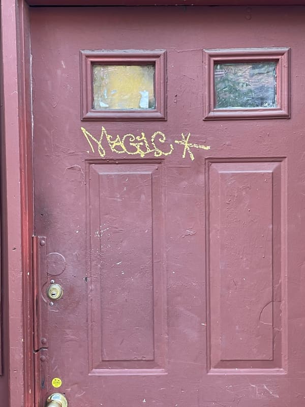 Door in Brooklyn — photograph 28 of 32