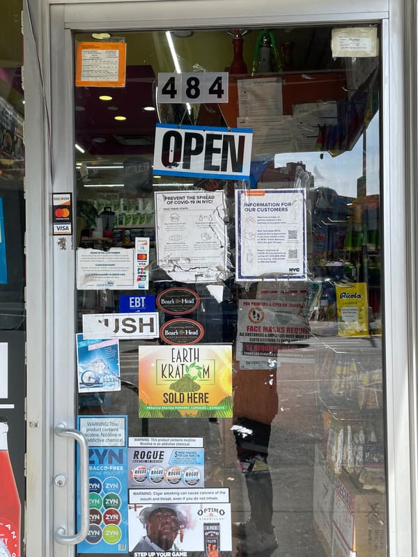 Door in Brooklyn — photograph 30 of 32