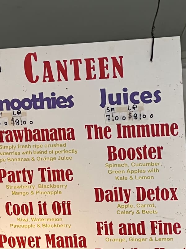 Inflatable in Brooklyn — photograph 4 of 41