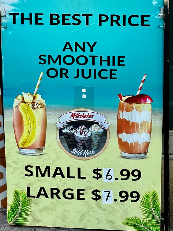 Inflatable in Brooklyn — photograph 23 of 41